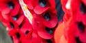 Poppy wreaths