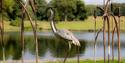 Sculpture Trail at Leeds Castle