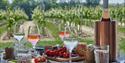 Glasses of wine on a table overlooking the vineyard