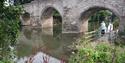 Teston Bridge