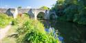 Teston Bridge