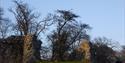 Castle remains ata White Horse Woods Country Park