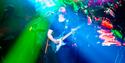 The Floyd Effect - Dark Animals in Maidstone