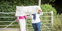 Walkers on the North Downs Trail above Thurnham