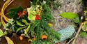 A close up of wreath making materials, including ivy and yew foliage, berries and green twine