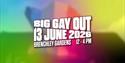 Big Gay Out
