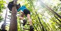 Go Ape - Forest Adventure Leeds Castle