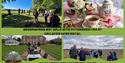 Pictures of walker and chilston park on a postcard style