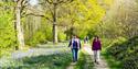 Walkers in the Hucking Estate, The Woodland Trust