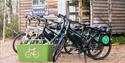 Bikes awaiting riders