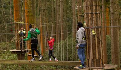 Family enjoying high ropes experience at Go Ape