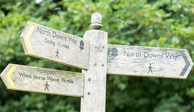Signpost on the trail