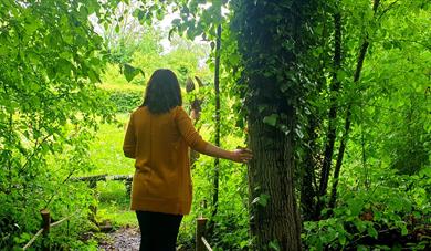 A lady walking through and touching the trees on a trail.
