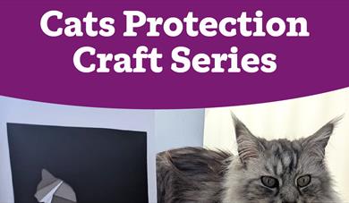 Cats Protection craft series