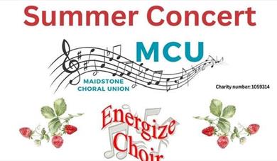 Summer concert