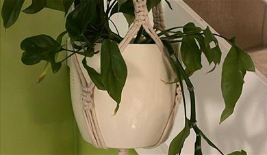 Macrame Workshop