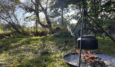 A steaming kettle hanging over a campfire, with late autumn trees in the background