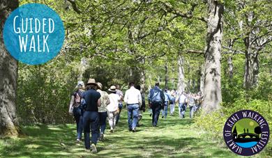 Guided Walk
Walking though Woodlands on Hush Heath Estate at Balfour Winery
