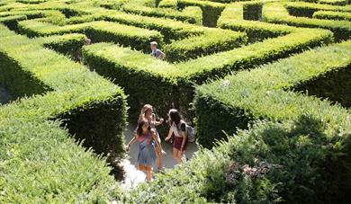 Leeds Castle Maze with 3 teenagers exploring