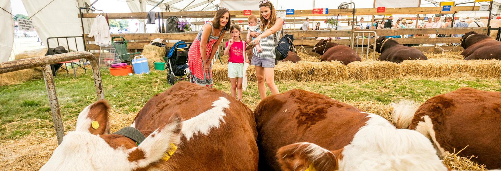 Kent County Show is a great day out for all the family and particularly if your children enjoyed the Living Land event.