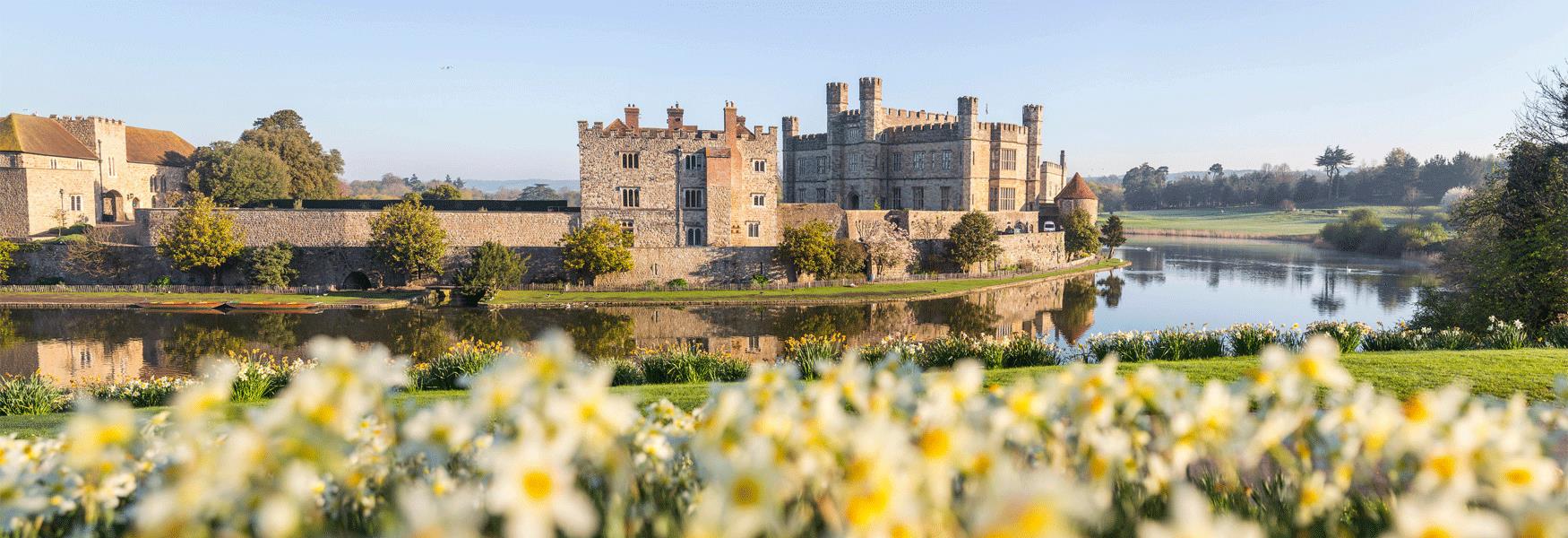 A glorious display of daffodils at Leeds Castle in early spring.  This is a great time to walk through the gardens enjoying the bulbs.
