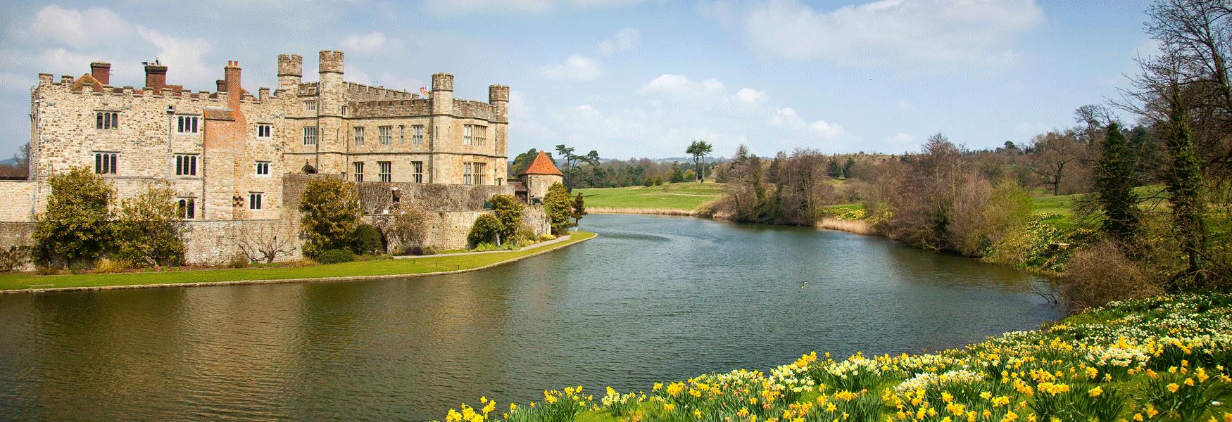 Spring at Leeds Castle, Host of golden daffodils, Maidstone