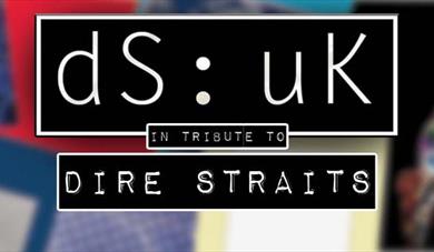 DS:UK logo for tribute to Dire Straits