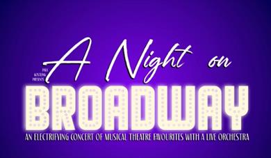 A night on Broadway logo