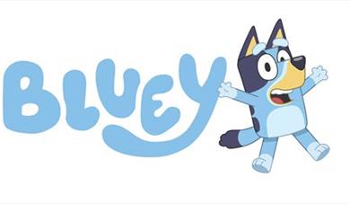 Image of character Bluey