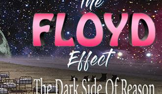 The Floyd Effect - The Dark Side of Reason