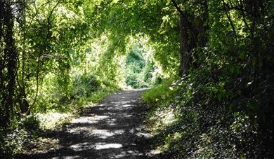 Footpath through Vinters Valley Nature Reserve