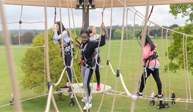 Mote Park Outdoor Adventure high ropes