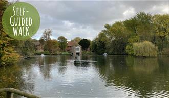 Pond at Harrietsham - Self-Guided Walk