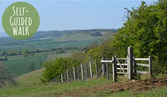 Views along walk route from Hollingbourne