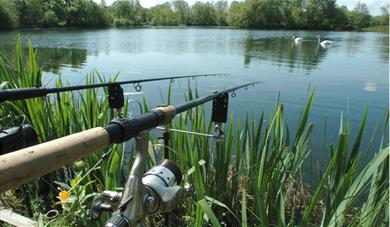 Fishing rods at a lake
