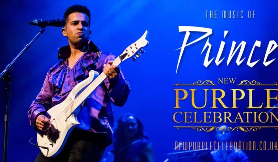 Prince - New Purple Celebration