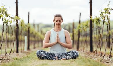 Woman doing yoga in Balfour Winery's vineyard
