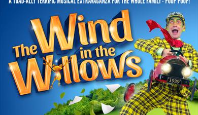 Wind in the Willows logo and toad