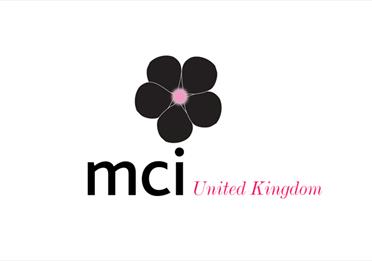 MCI Group