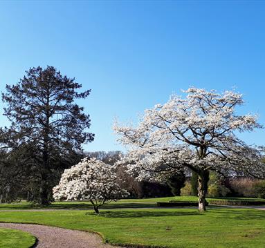 Tatton Park