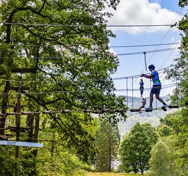 Zip wire activity
