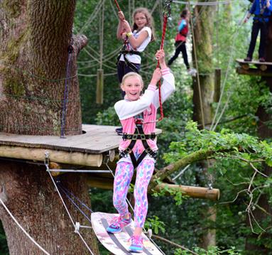 Treetop Manchester