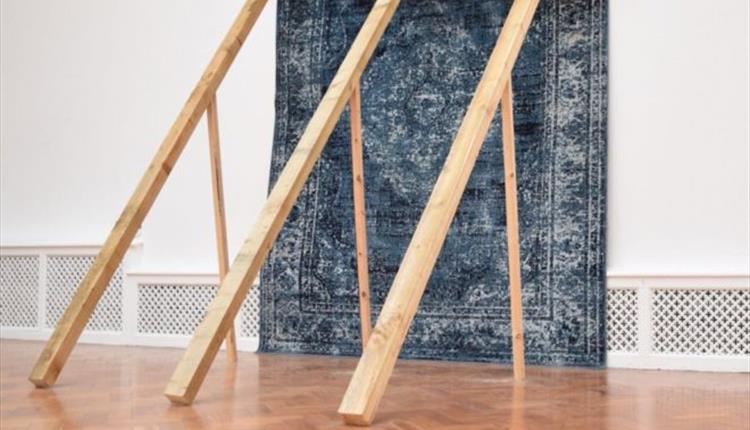 Autopsy of a Home exhibition at CFCCA