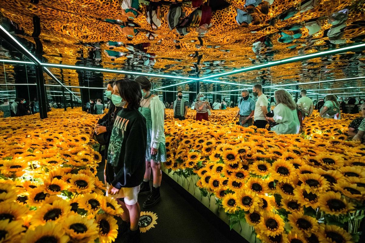 Van Gogh Alive The World’s Most Visited Immersive, Multisensory