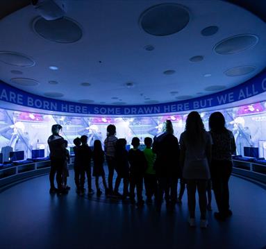 Thumbnail for Manchester City Football Club Stadium & Club Tour