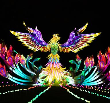 8 Enchanting Christmas Light Shows around Greater Manchester