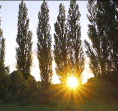 Salford's Green Spaces
