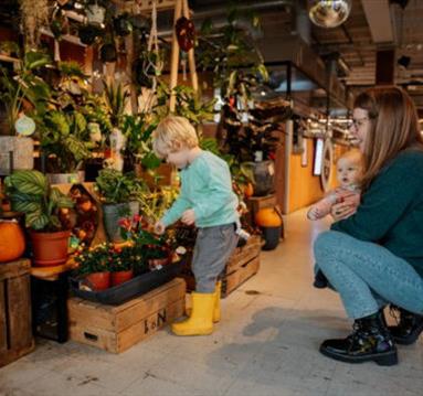 The Best Shops In Trafford