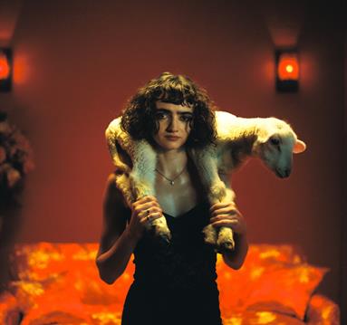 Sir Chloe with a lamb