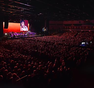 ELVIS In Concert – Live on Screen